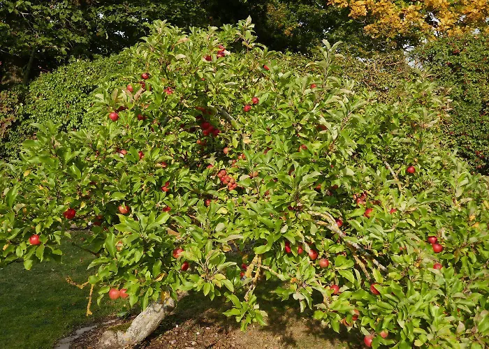 Sturmfrei * Kopendorf